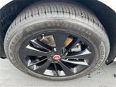 Thumbnail of 2023 Ostuni Pearl White Jaguar F-PACE