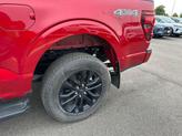 Thumbnail of 2024 Rapid Red Metallic Tinted Clearcoat Ford F-150