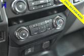 Thumbnail of 2021 Blue Ford F-250