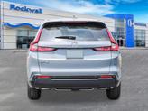 Thumbnail of 2026 Urban Gray Pearl Honda CR-V