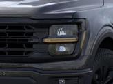 Thumbnail of 2025 Agate Black Metallic Ford F-150