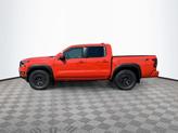 Thumbnail of 2025 Afterburn Orang Nissan Frontier