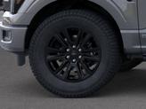 Thumbnail of 2025 Carbonized Gray Metallic Ford F-150