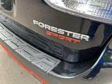 Thumbnail of 2019 Crystal Black Silica Subaru Forester