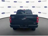 Thumbnail of 2023 AGATE BLACK METALLIC Ford F-150