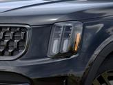 Thumbnail of 2025 Ebony Black Kia Telluride