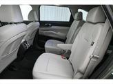 Thumbnail of 2025 Jungle Green Kia Sorento