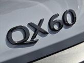 Thumbnail of 2025 Harbor Gray INFINITI QX60