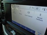 Thumbnail of 2022 Crbnzd Gray Ford F-150