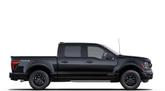 Thumbnail of 2025 Agate Black Metallic Ford F-150