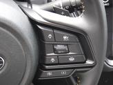 Thumbnail of 2025 Magnetite Gray Metallic Subaru Crosstrek