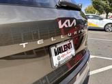 Thumbnail of 2024 Dark Moss Kia Telluride