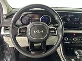Thumbnail of 2023 Panthera Metal Kia Carnival