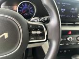 Thumbnail of 2023 Panthera Metal Kia Carnival