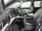 Thumbnail of 2023 Panthera Metal Kia Carnival
