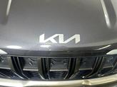 Thumbnail of 2023 Panthera Metal Kia Carnival