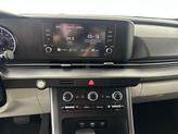 Thumbnail of 2023 Panthera Metal Kia Carnival