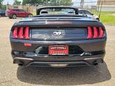 Thumbnail of 2023 Shadow Black Ford Mustang