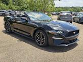 Thumbnail of 2023 Shadow Black Ford Mustang