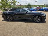 Thumbnail of 2023 Shadow Black Ford Mustang