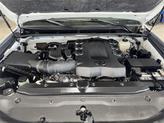 Thumbnail of 2021 Super White Toyota 4Runner