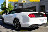 Thumbnail of 2021 White Ford Mustang