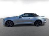 Thumbnail of 2023 Iconic Silver Metallic Ford Mustang