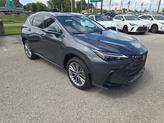 Photo of 2022 Cloudburst Gray Lexus NX 350h