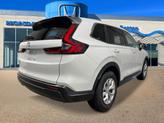 Thumbnail of 2026 Platinum White Honda CR-V
