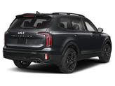Thumbnail of 2025 Panthera Metal Kia Telluride