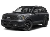 Photo of 2025 Panthera Metal Kia Telluride