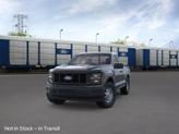 Thumbnail of 2025 Agate Black Metallic Ford F-150