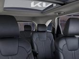 Thumbnail of 2025 Panthera Metal Kia Sorento
