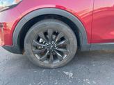 Thumbnail of 2020 Passion Red Kia Sorento