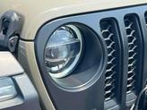 Thumbnail of 2020 Gator Clearcoat Jeep Gladiator