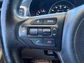 Thumbnail of 2016 MAROON Kia Sorento