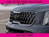 Thumbnail of 2025 Metal Kia Telluride