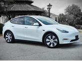 Thumbnail of 2020 Pure White Tesla Model Y