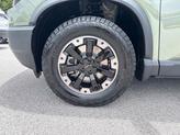 Thumbnail of 2026 Ash Green Metallic Honda Passport