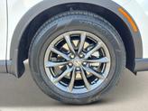 Thumbnail of 2026 Platinum White Pearl Honda CR-V