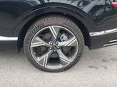 Thumbnail of 2025 Vik Black Genesis GV80
