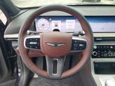Thumbnail of 2025 Vik Black Genesis GV80