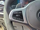 Thumbnail of 2019 Sunstone Metallic BMW X5