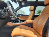 Thumbnail of 2019 Sunstone Metallic BMW X5