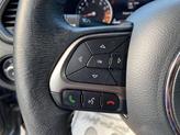 Thumbnail of 2022 Sting Gray Clearcoat Jeep Renegade