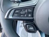 Thumbnail of 2024 Gray Dodge Hornet