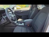 Thumbnail of 2023 Star White Ford Escape