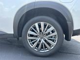 Thumbnail of 2025 Everest White P Nissan Pathfinder
