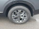 Thumbnail of 2025 Shadow Kia Sportage Hybrid