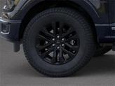 Thumbnail of 2025 Black Ford F-150